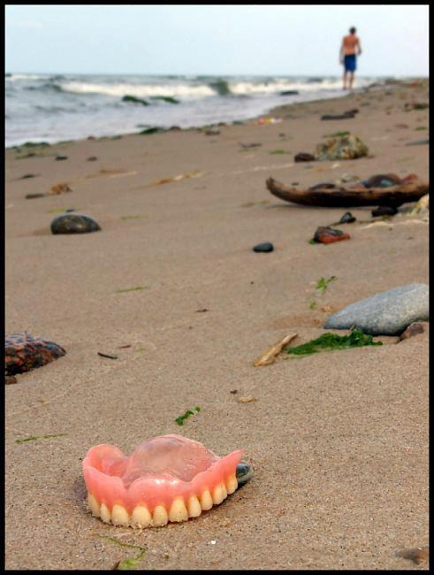 Dad, I found your teeth!