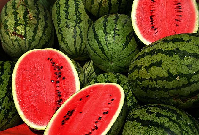 Don’t Let “Google” Drop Your Melon