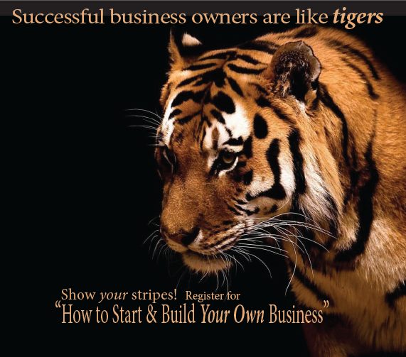 Learn How to Start and Build your own Business