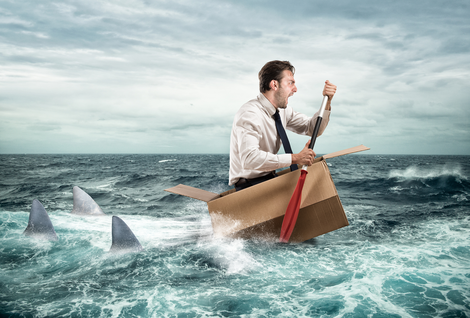 Anxious looking man worried about dental websites paddling in cardboard box followed by three sharks.