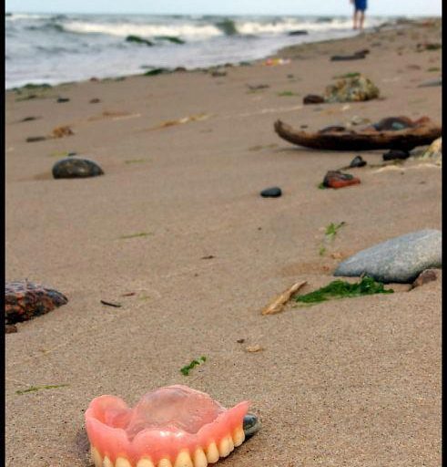 Dad, I found your teeth!
