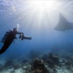 google-maps-underwater-260912